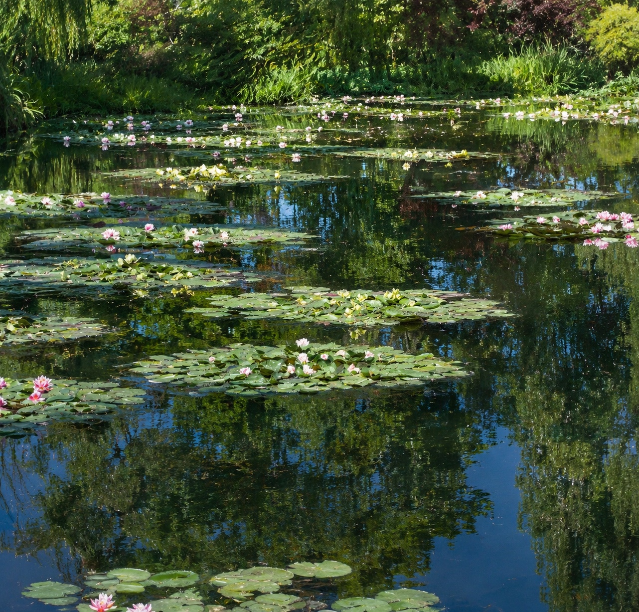 Monet — Normal Vision (1899)